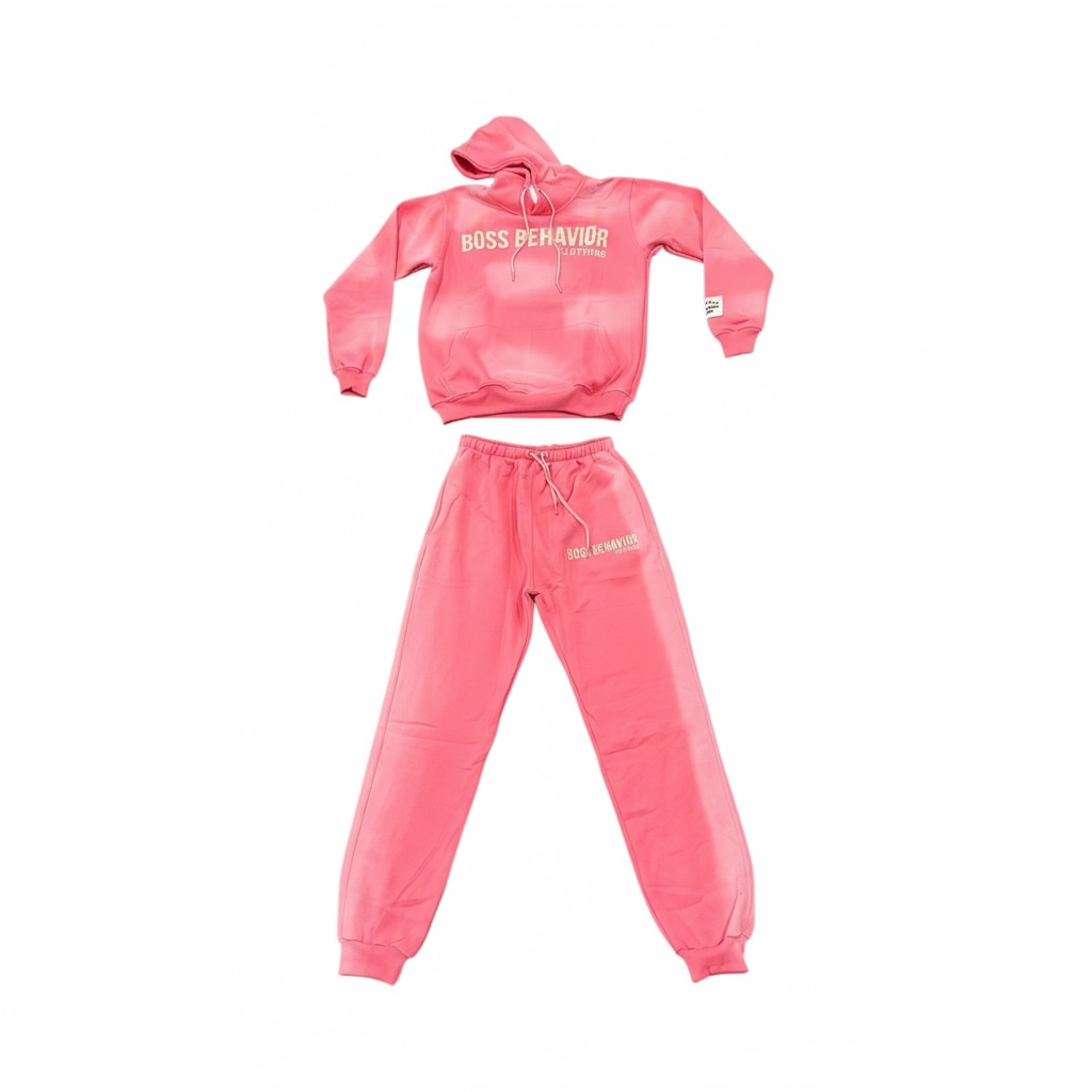 Boss Behavior Distressed Logo Fleece Embroidered Unisex Hoodie Set